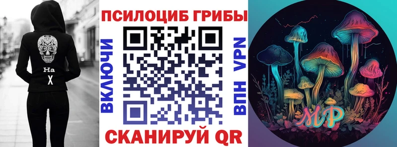 Псилоцибиновые грибы мицелий  Нижние Серги 